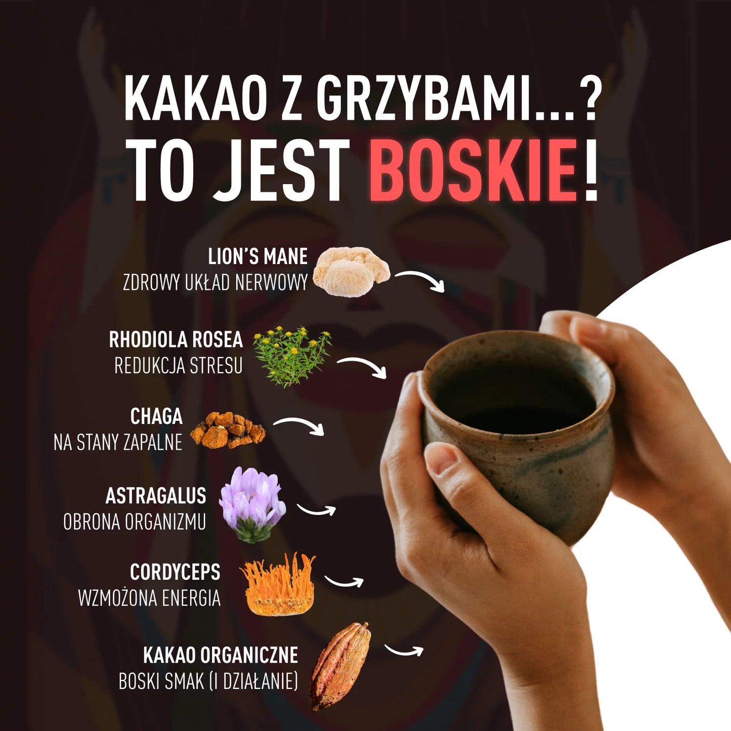 BOSKIE KAKAO Z GRZYBAMI By Herbs