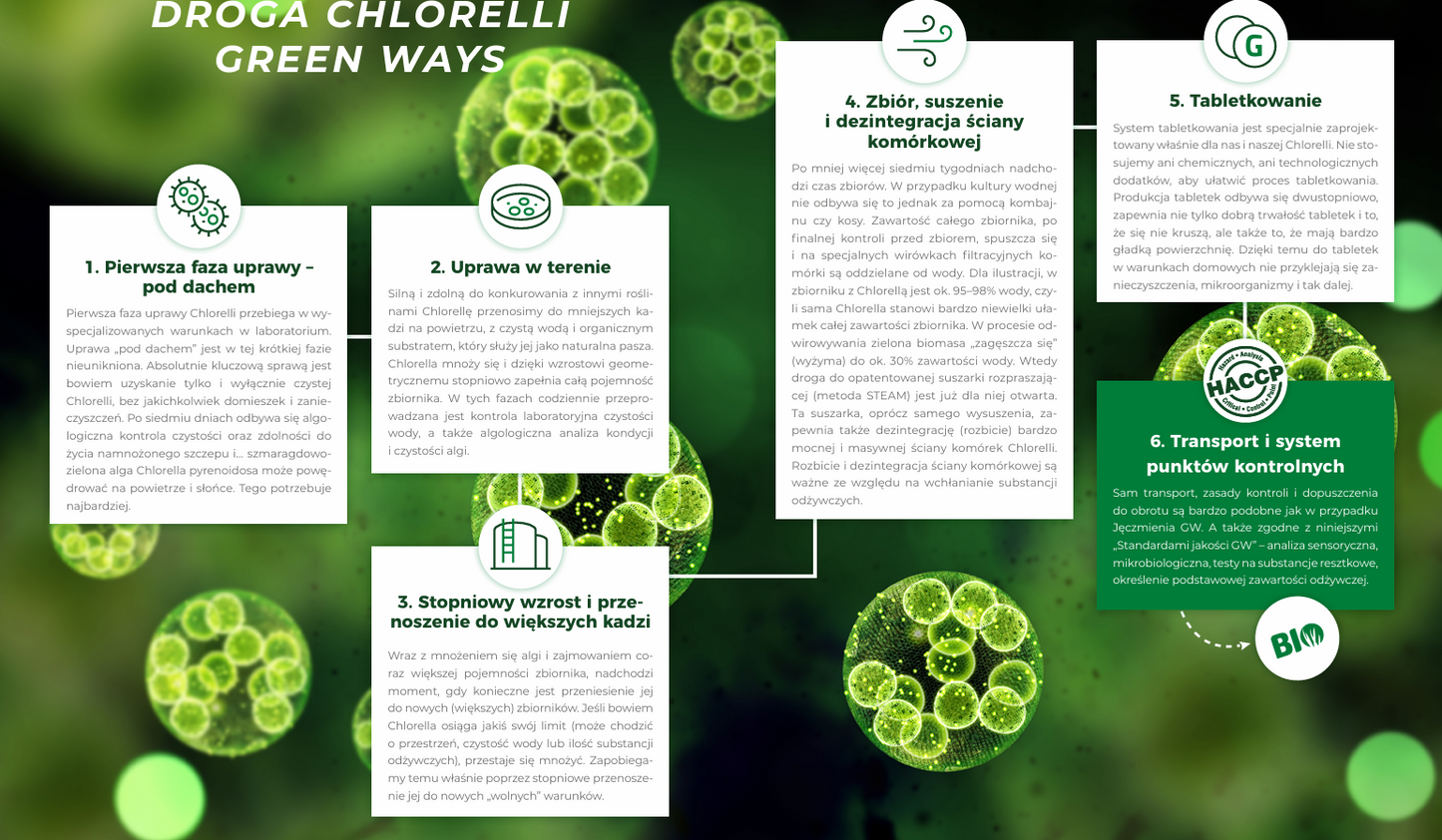 Green Ways Bio Chlorella pyranoidosa 1320 pastylek DARMOWA WYSYŁKA