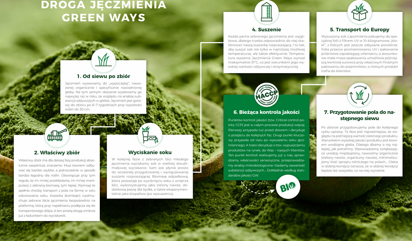 Green Ways sok z jęczmienia sproszkowany Bio 300 gramów DARMOWA WYSYŁKA