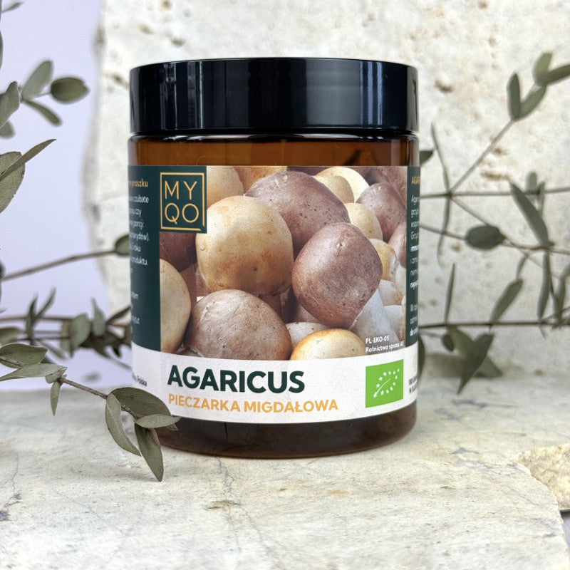 Agaricus blazei murill - Pieczarka migdałowa - 100 g MYQO