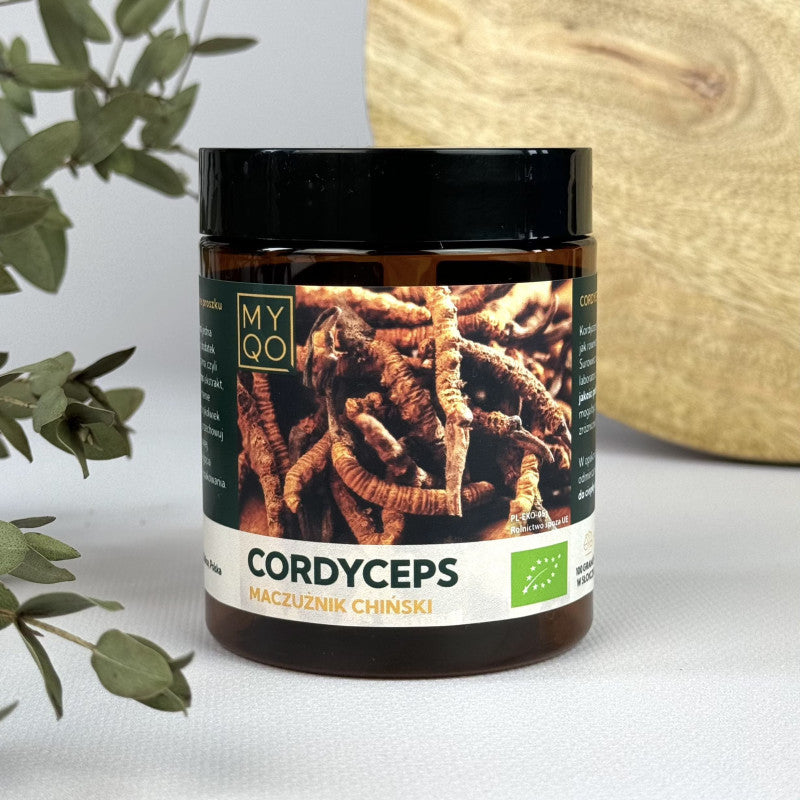MYQO BIO Cordyceps sinensis - Maczużnik chiński - 100 g