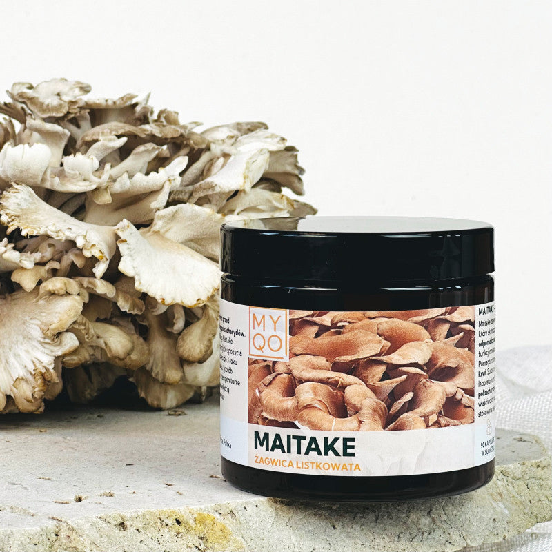 MYQO Maitake - Żagwica listkowata - 90 kaps