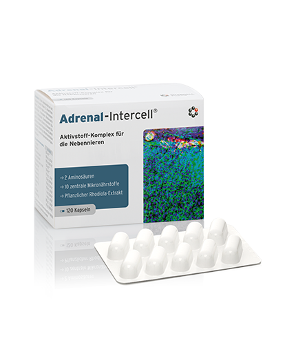 Adrenal-Intercell® 120 kapsułek Dr Enzmann