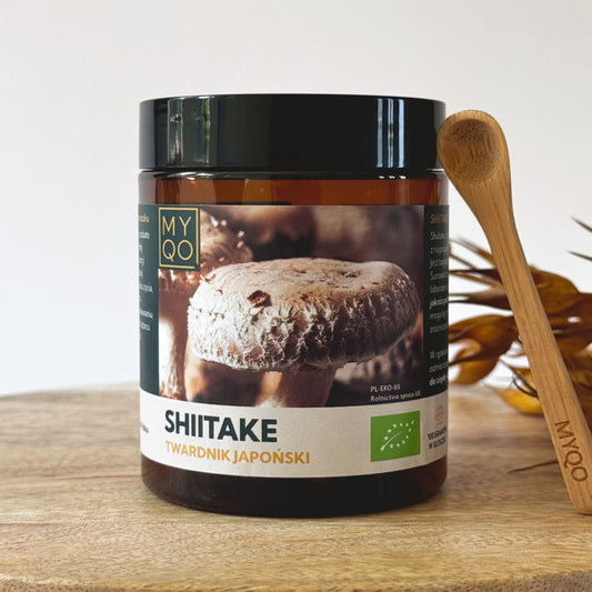 Shiitake - Twardnik japoński - 100 g MYQO