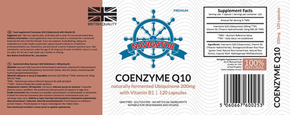 Koenzym Q10 200 mg z Witaminą B1 (Tiaminą), 120 kapsułek, Navigator