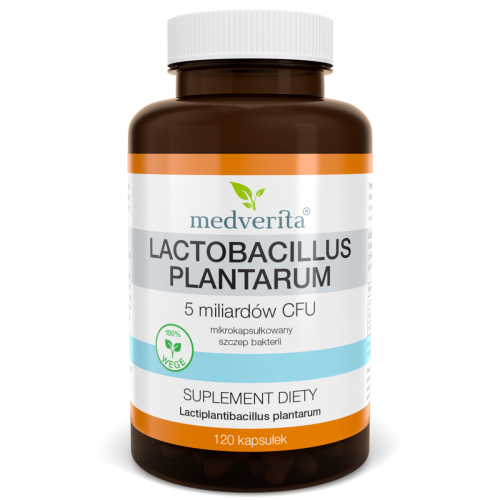 Lactobacillus plantarum 5 miliardów CFU - 120 kapsułek MEDVERITA