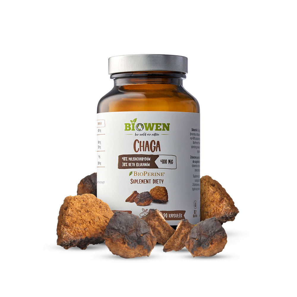 Chaga - 400mg - 90 kapsułek