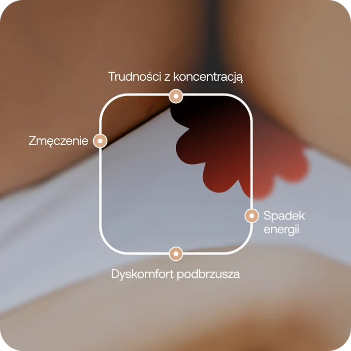 Formeds Period support 60 kapsułek