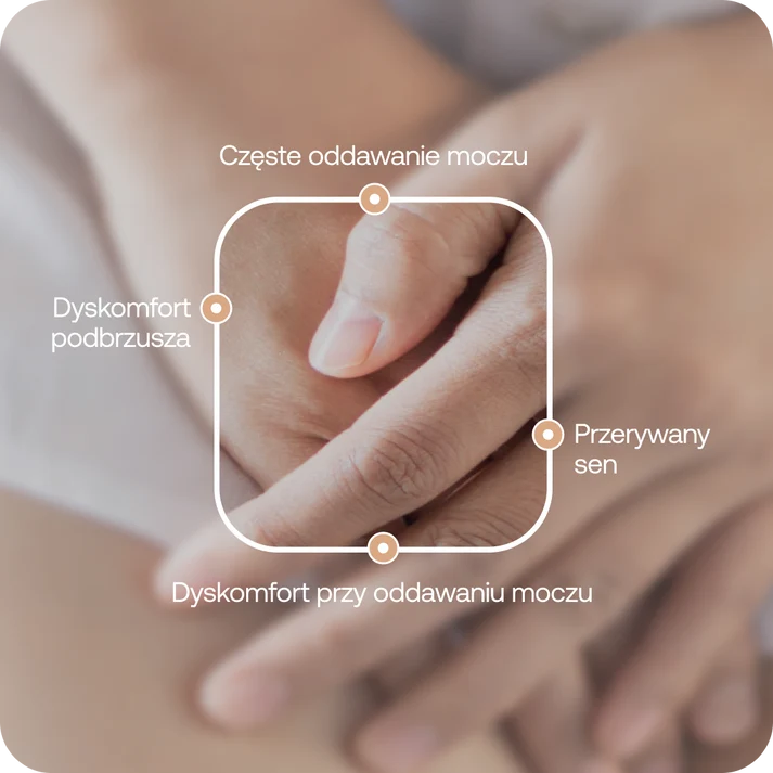 Formeds Urinary protect 60 kapsułek