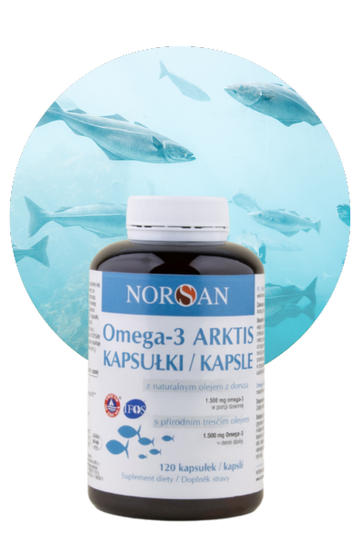 Norsan Omega-3 Arktis Kapsułki 120 kaps 1500 mg