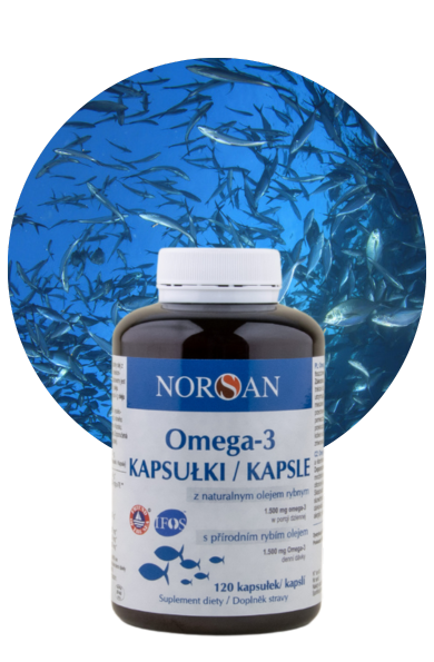 Norsan Omega-3 Kapsułki 120 kapsułek 4000 mg
