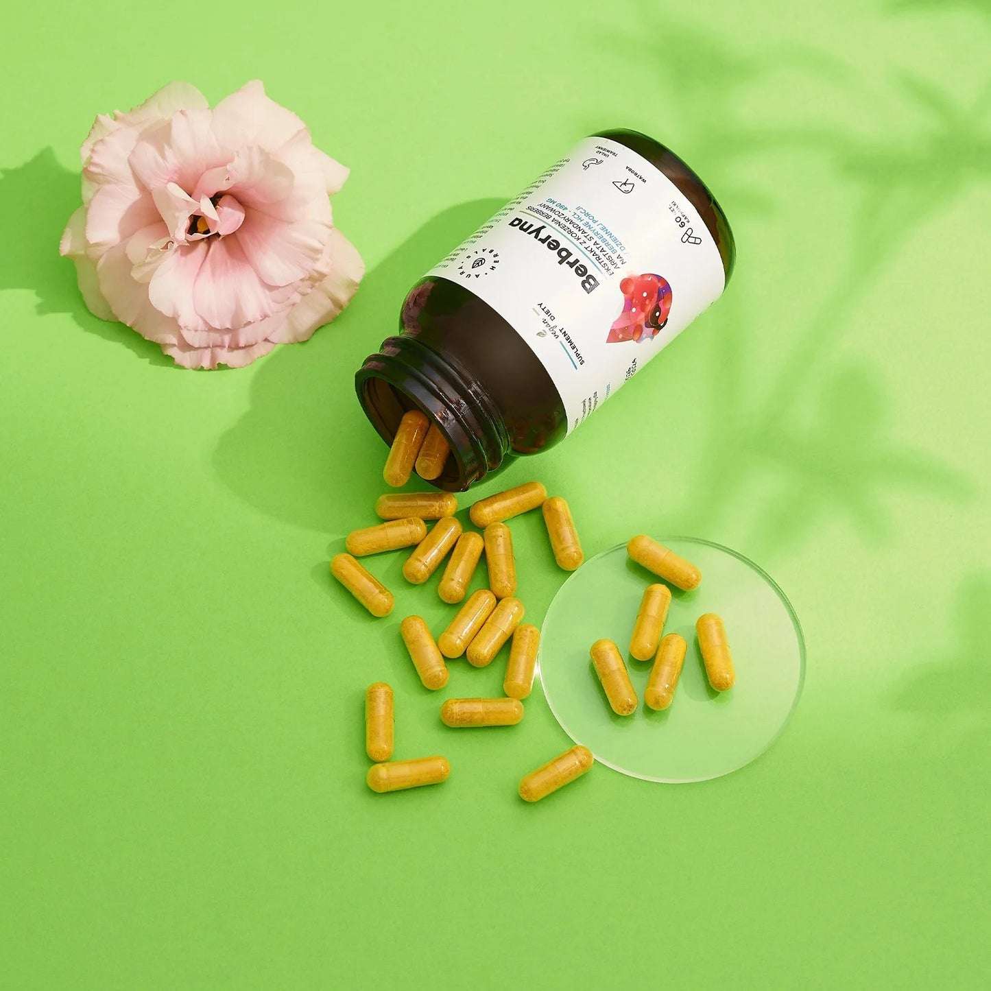 Aura Herbals Berberyna 490 mg, HCL, Berberis aristata, kapsułki 60 szt.