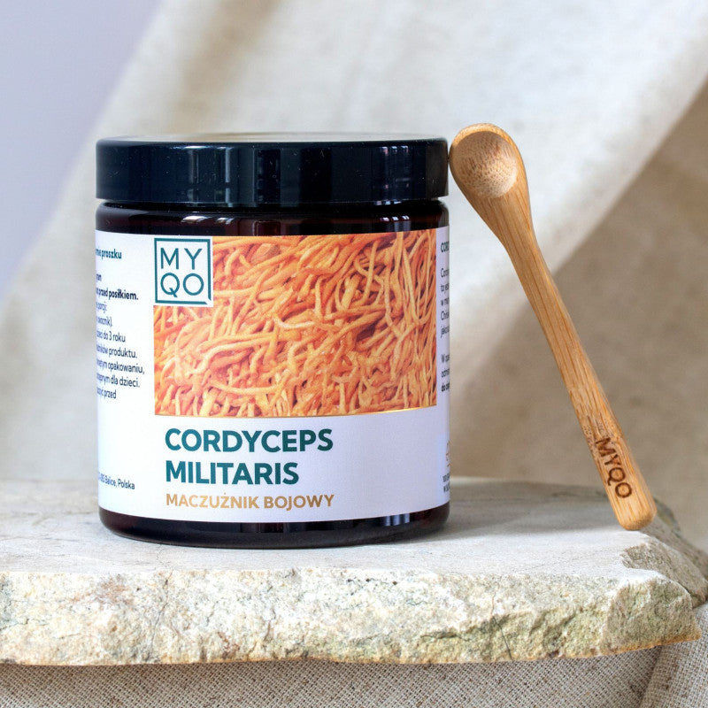 Cordyceps militaris - Maczużnik bojowy - 100 g MYQO