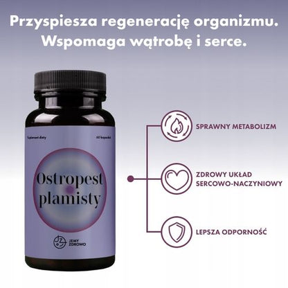 Jemy Zdrowo Ostropest Plamisty praca wątroby regeneracja