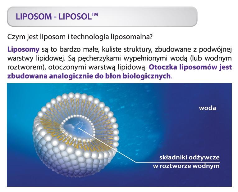 Liposol Liposomalny Collagen rybi 5g/10ml 250 ml Aliness