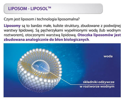 Liposol Liposomalny Collagen rybi 5g/10ml 250 ml Aliness