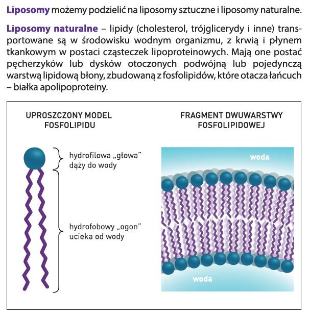 Liposol Liposomalny Collagen rybi 5g/10ml 250 ml Aliness