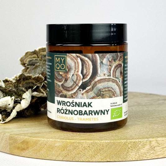 MYQO BIO Wrośniak Różnobarwny - Coriolus Versicolor - Trametes versicolor - 100 g